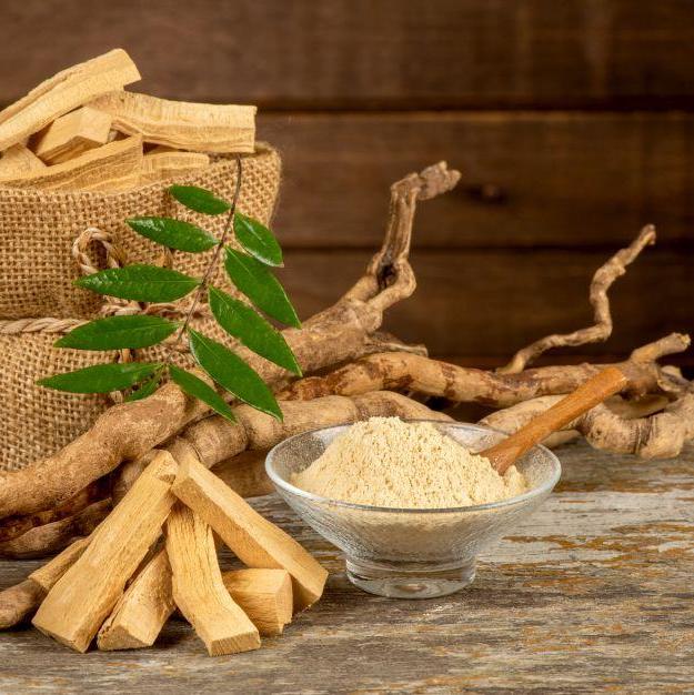 Tongkat Ali 200:1 Extract Powder