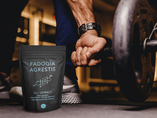 Fadogia Agrestis: The Natural Testosterone Booster You Need to Know About