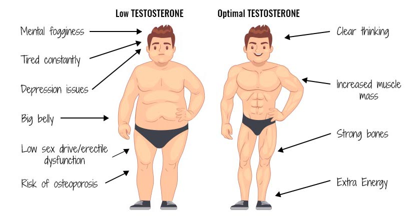 The Evolution of Men's Testosterone Levels Over the Last 50 Years