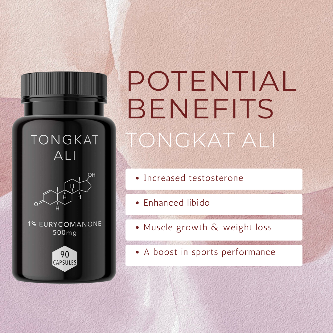 Tongkat ali capsules benefits. Increased testosterone. Enhanced libido. Muscle growth and weight loss. Boost sports performance.