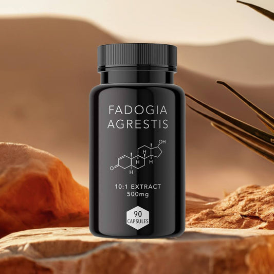 Fadogia Agrestis 10:1 Extract